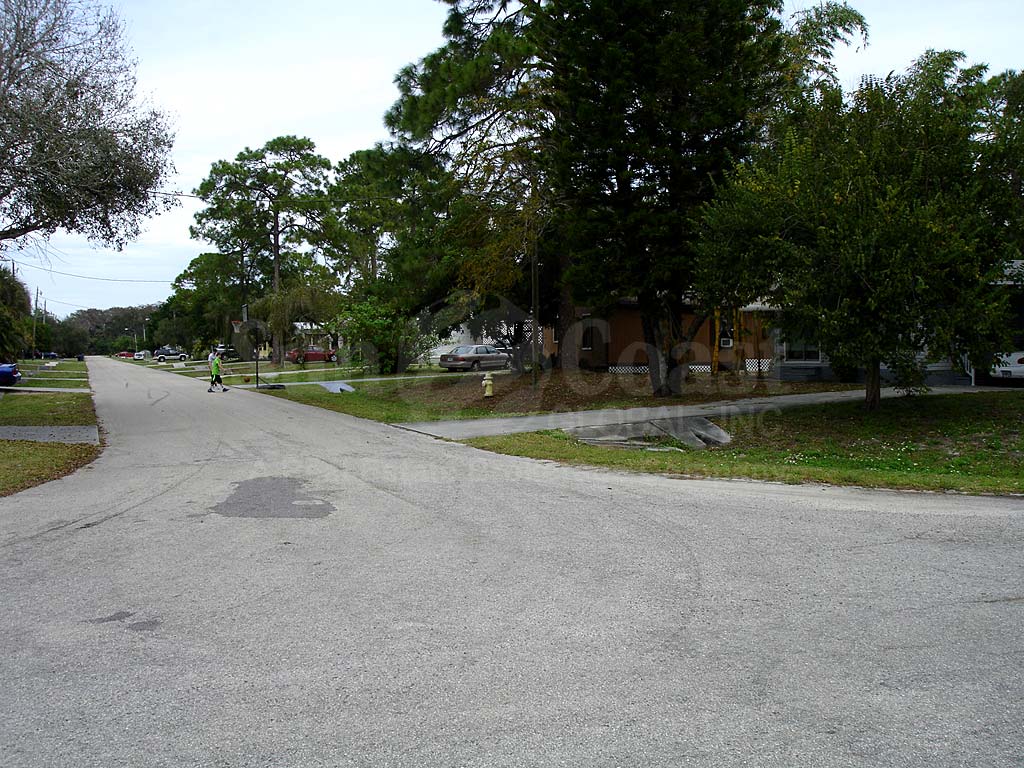 North Fort Myers Prairie Pines Preserve Area Mobile Homes No Hoa